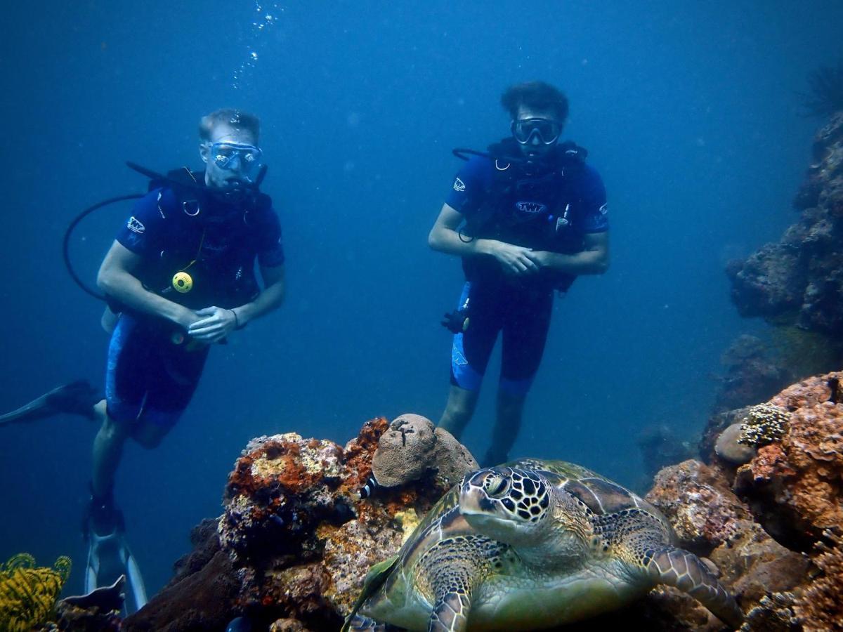 Alegria Dive Resort Luaran gambar